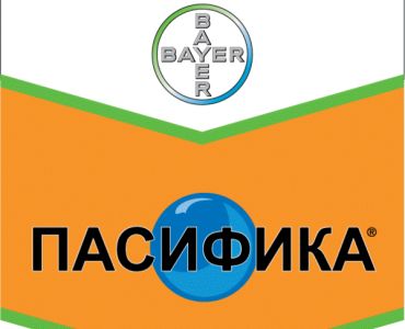 Пасифика ВГ